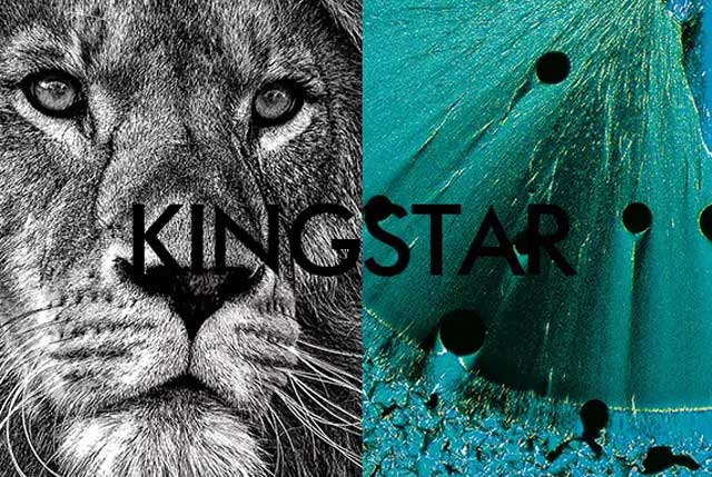 Kingstar